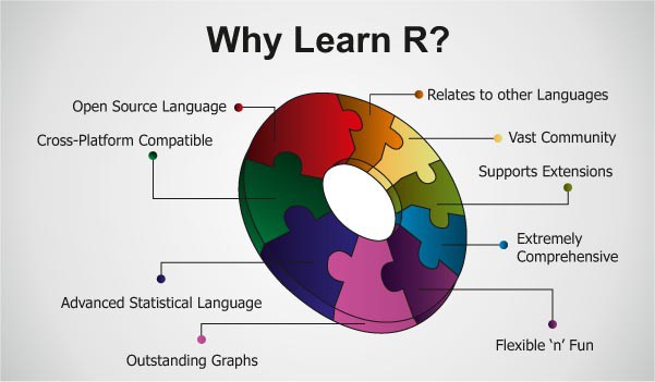 The Importance of Learning “R” for Data Science.