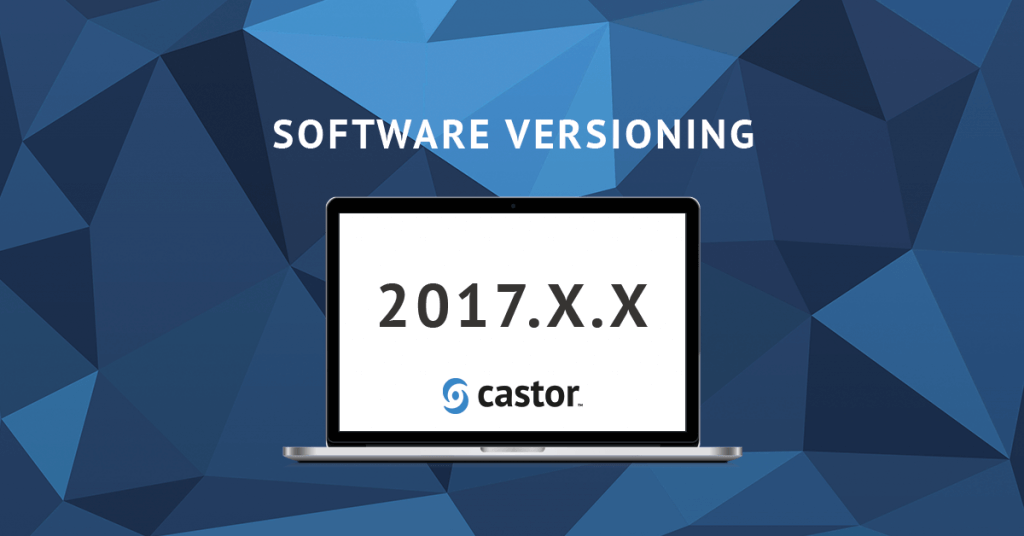 Castor software versioning graphic
