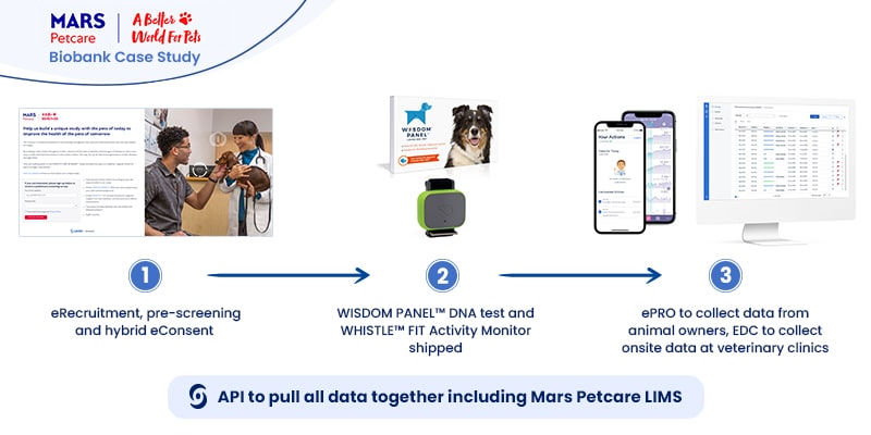 Mars Case Study